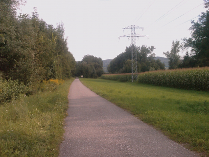 IMAG0048.jpg